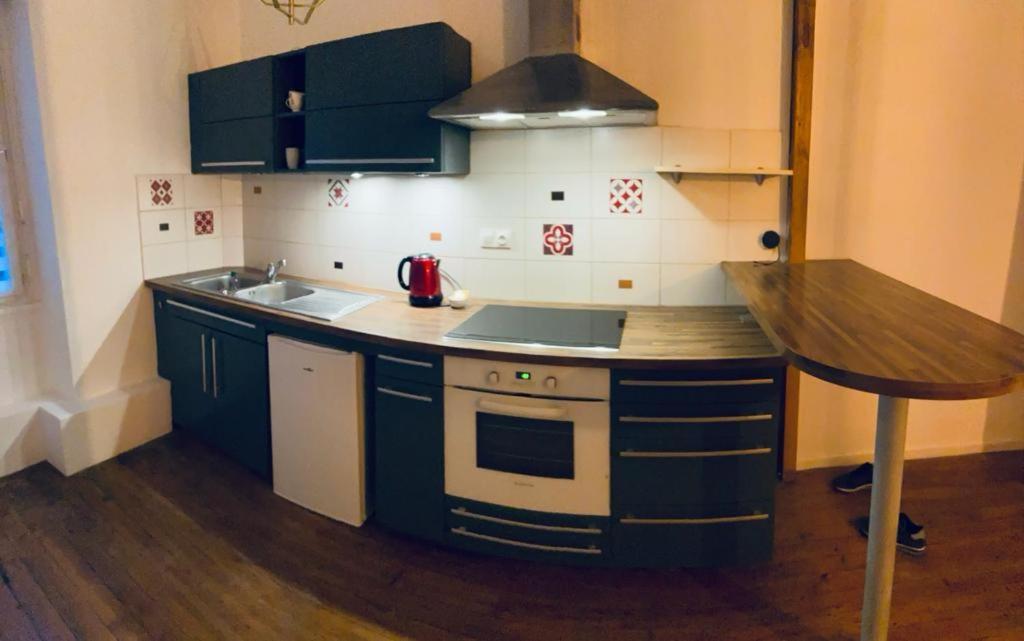 Le Bleu Roi Apartman Dijon Kültér fotó